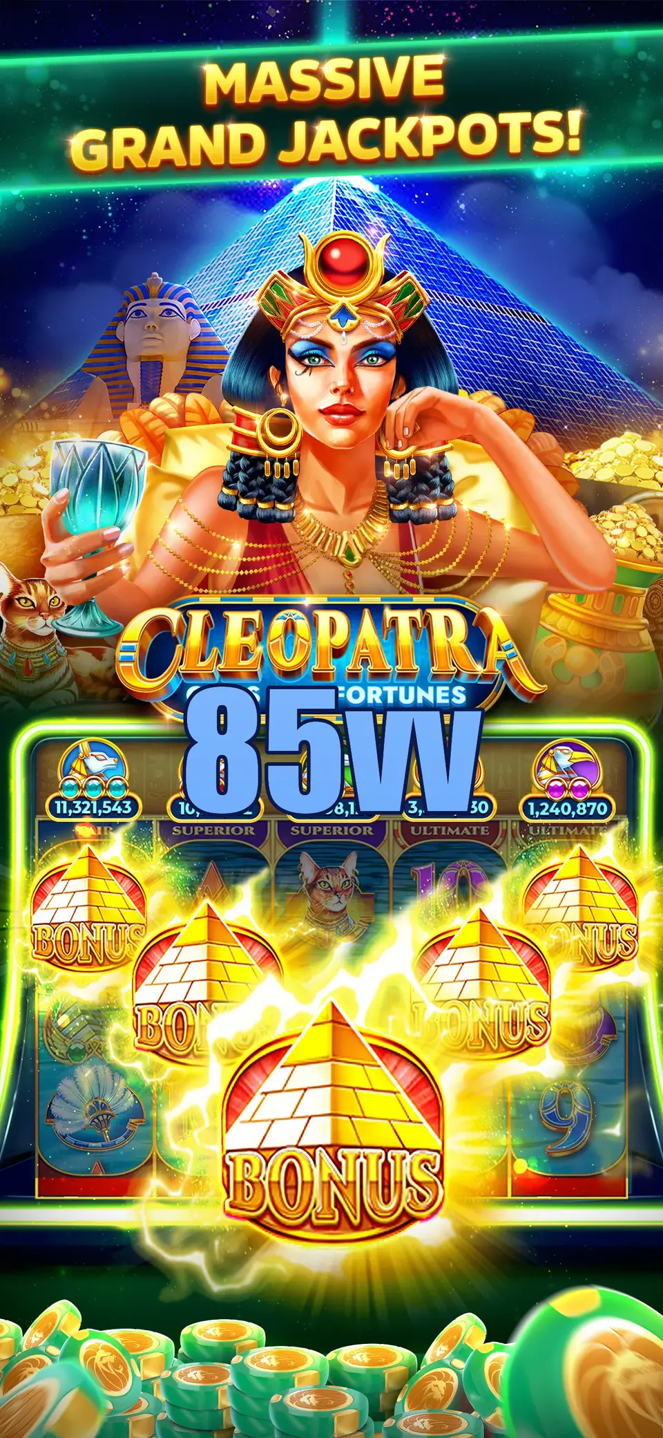 85vv Login